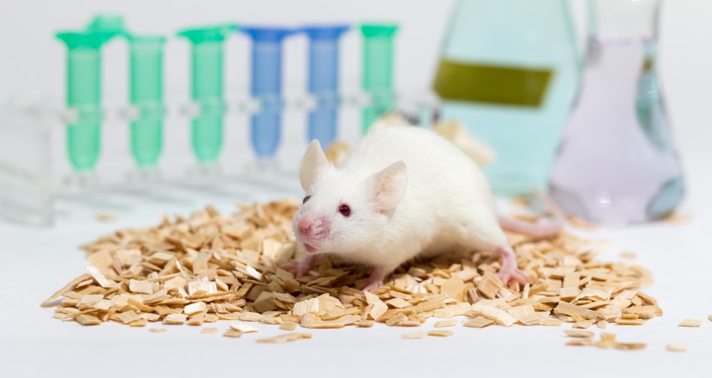 Mesothelioma combo therapy